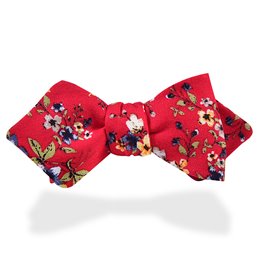 �ngiliz Model Ba�lamal�